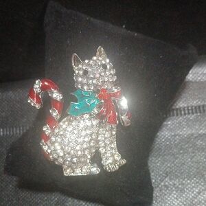 Crystal Cat Brooch with Red and Green Accents